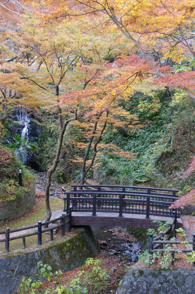 根来寺