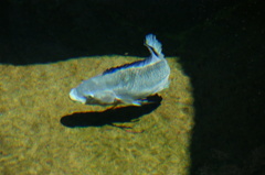 DSC08359