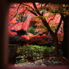 紅葉絵画