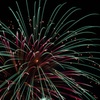 夜の花