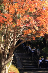 行楽シーズン