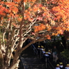 行楽シーズン