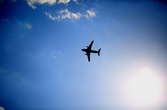 flight