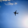 flight