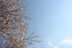空に向かって