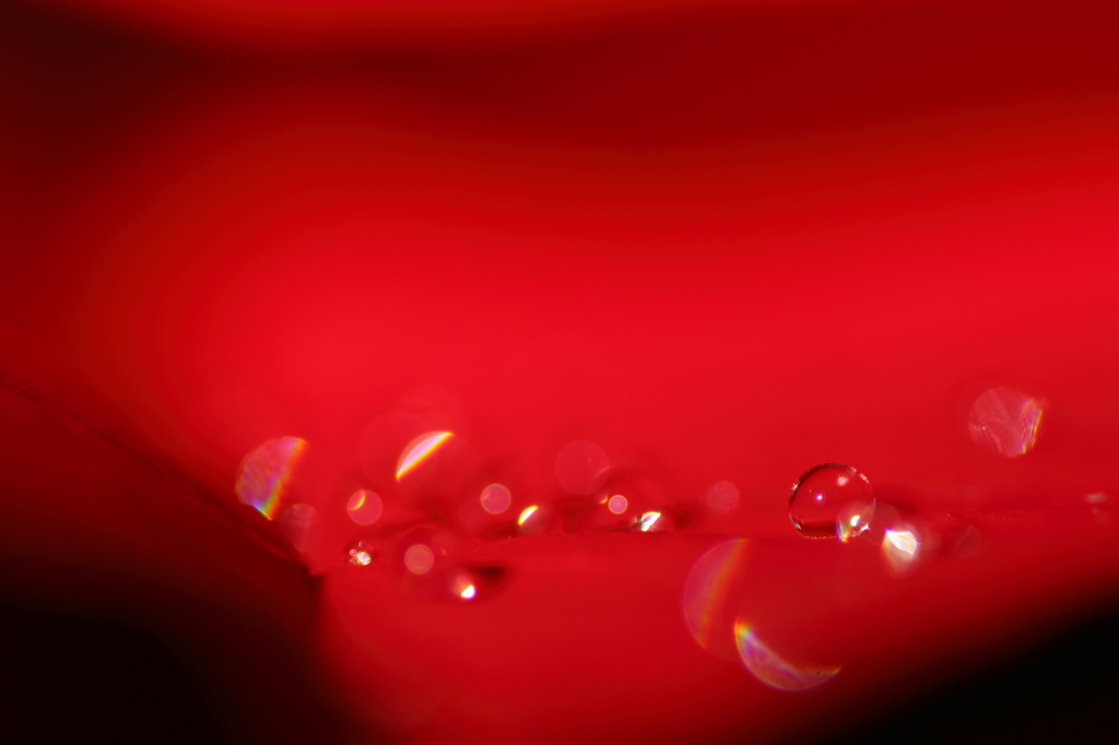 Crystal in Red