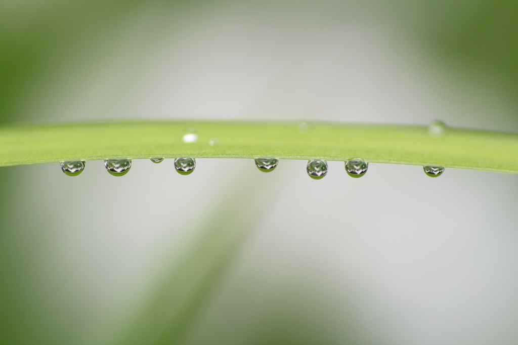 Rainy Tone ♪