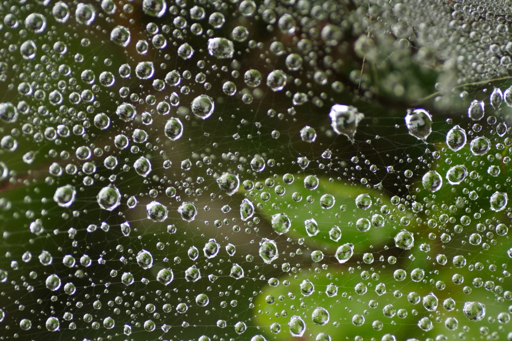 Water Display