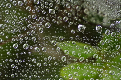 Water Display