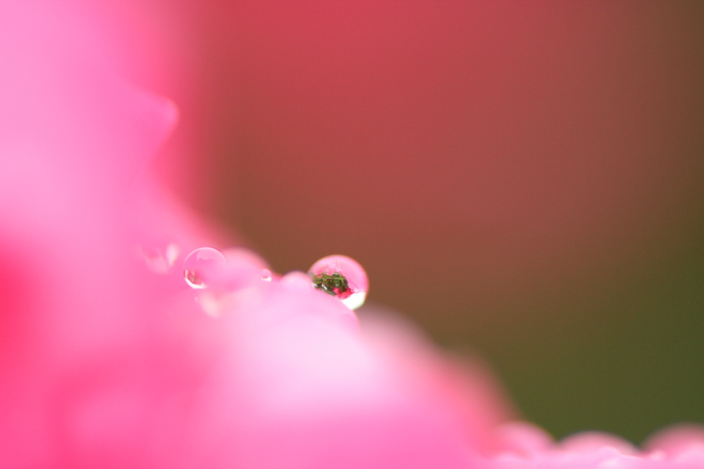 Water World