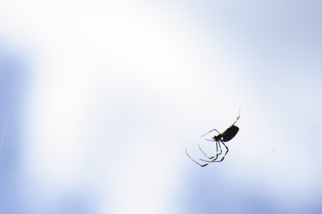 空中散歩
