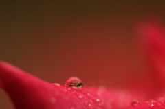 small world