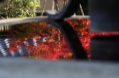 水盆の中の秋　～なぎ