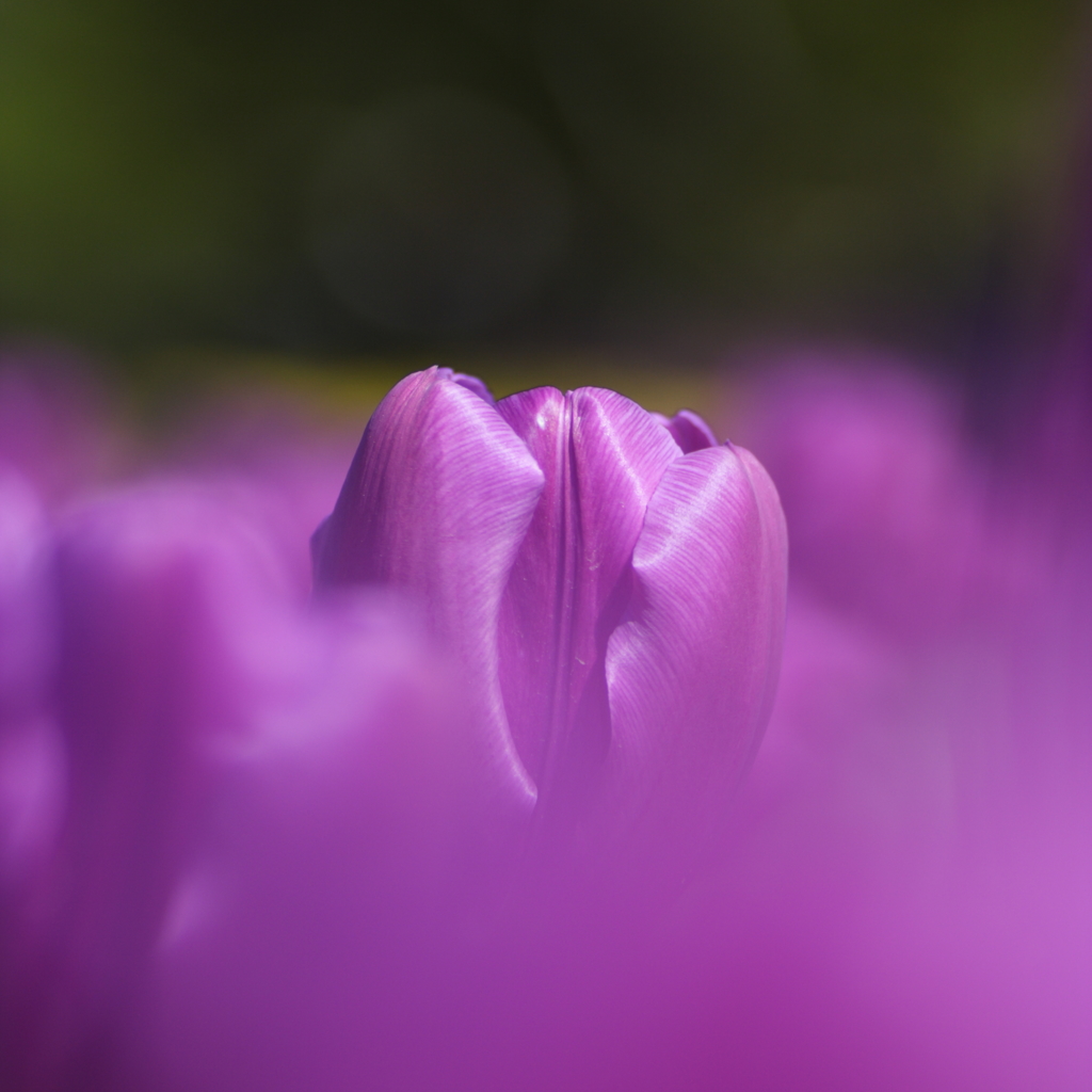 COLORS in HEAVEN 8