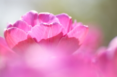 COLORS in HEAVEN 3