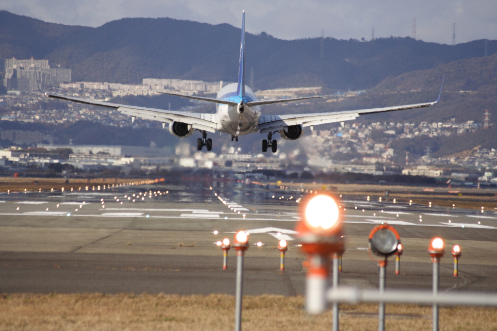 Landing in the Lights