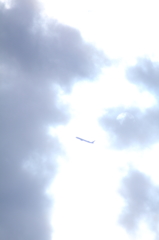 Fly Away