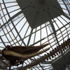 Jurassic SKY