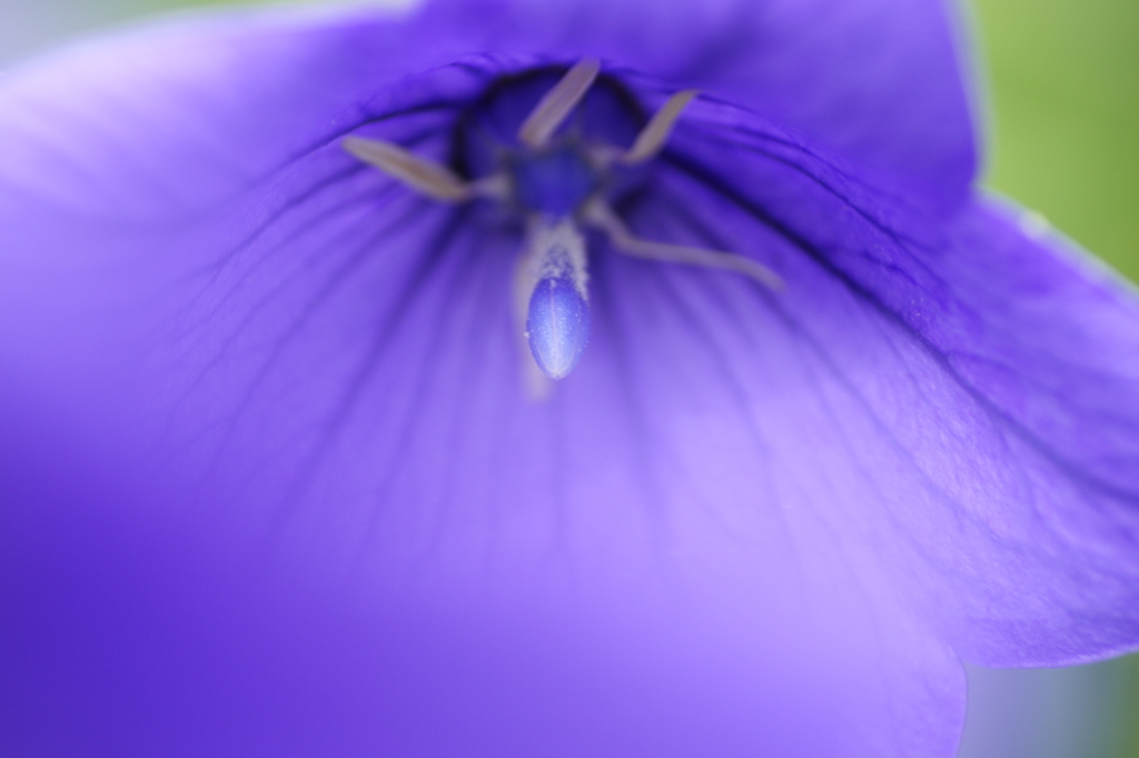 Cool Blue