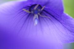 Cool Blue