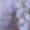 光を愛でる