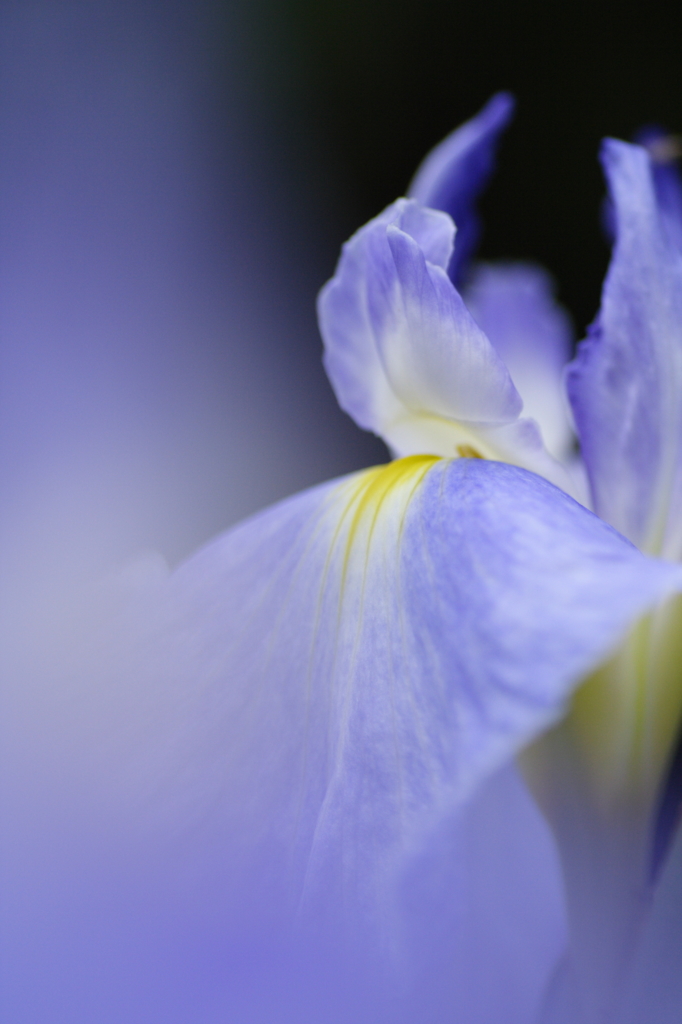 Planet BLUE 3