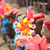 春風を楽しむ