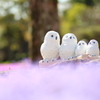 ふぁみり～