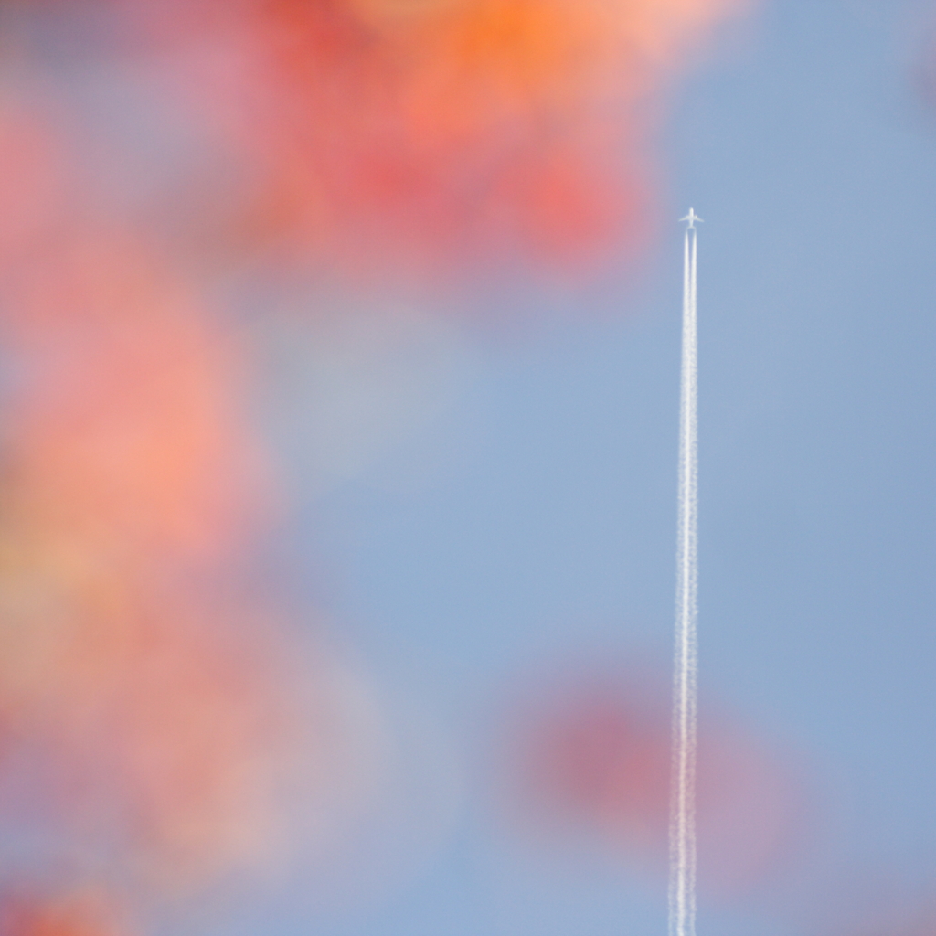 秋空 一直線！