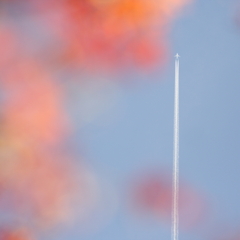 秋空 一直線！