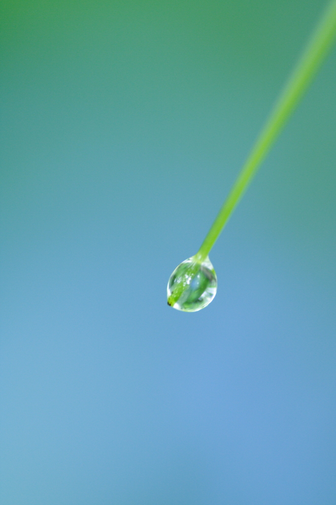 Aqueous Blue