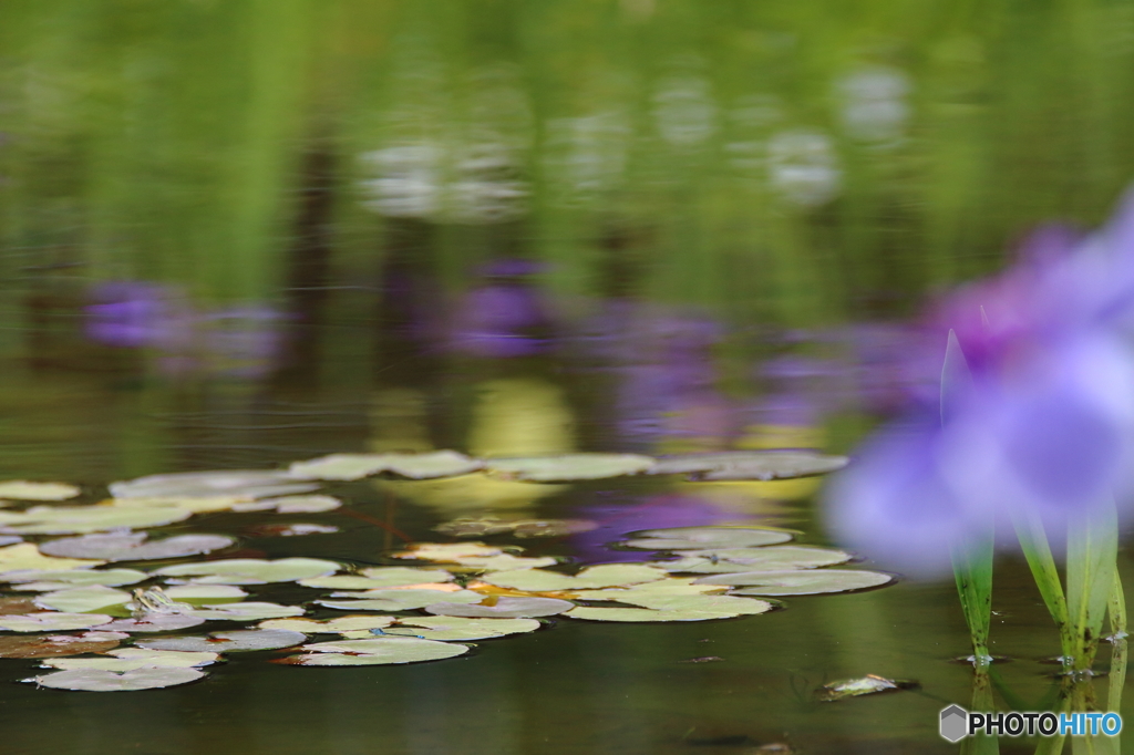 Reflection