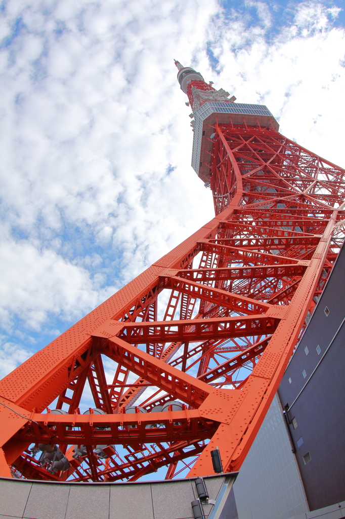 天空へ伸びゆく