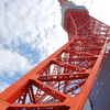 天空へ伸びゆく