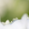 梅雨明けのとき