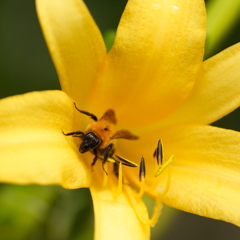 I ❤ YELLOW !