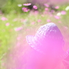 花畑の少女は…