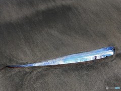 青空が写ってます