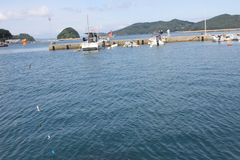 健さんがあるいたとこで