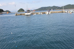 健さんがあるいたとこで