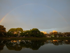 池の上に、