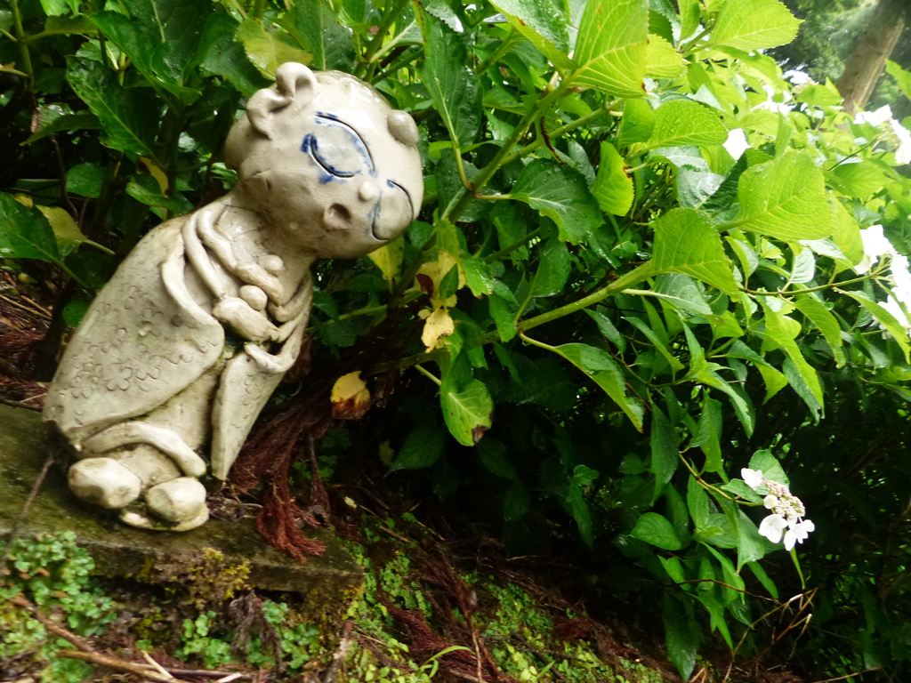 源さんからお知らせ