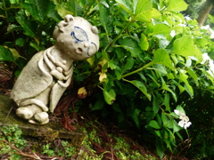 源さんからお知らせ