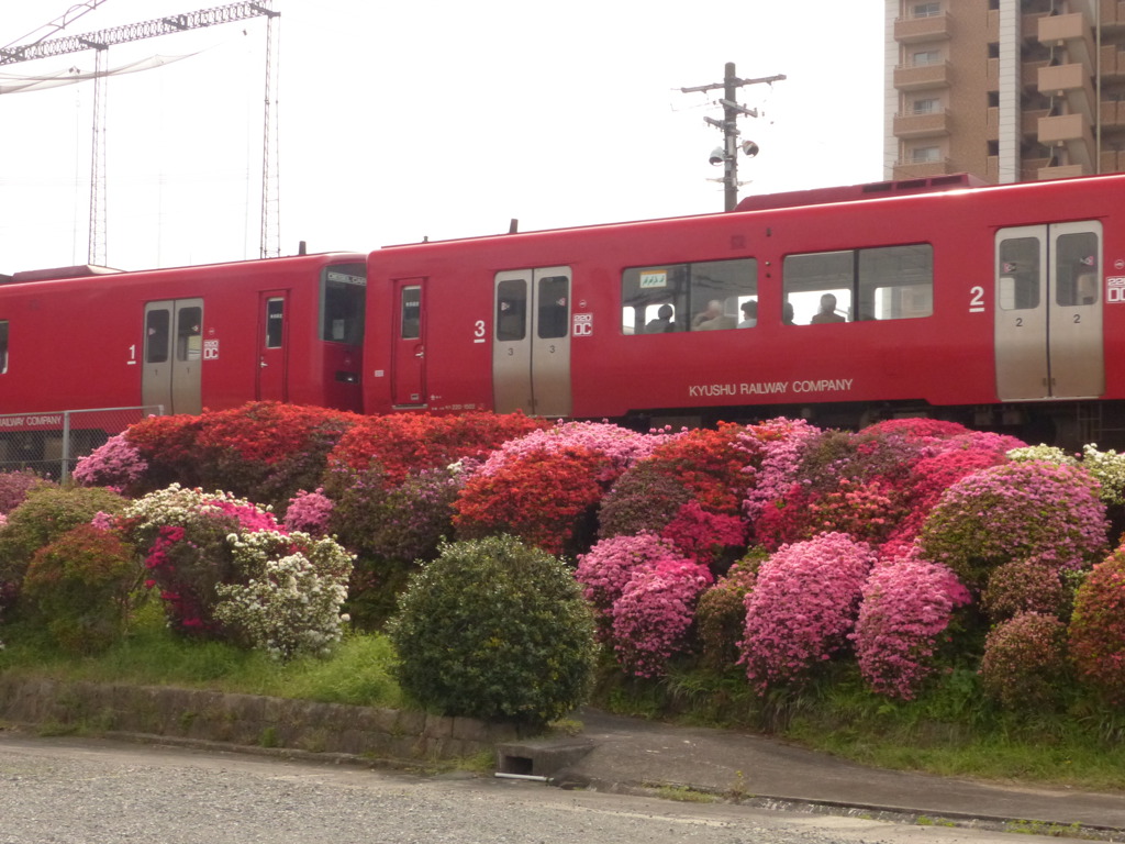 駅員さんの手入れ