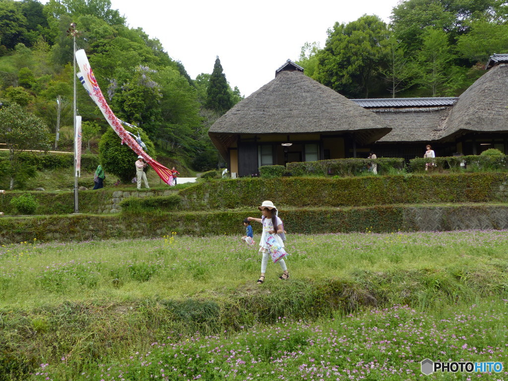 いつもは子供見かけませんが