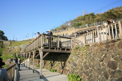 こんなとこです