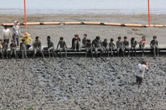 きれいに撮って