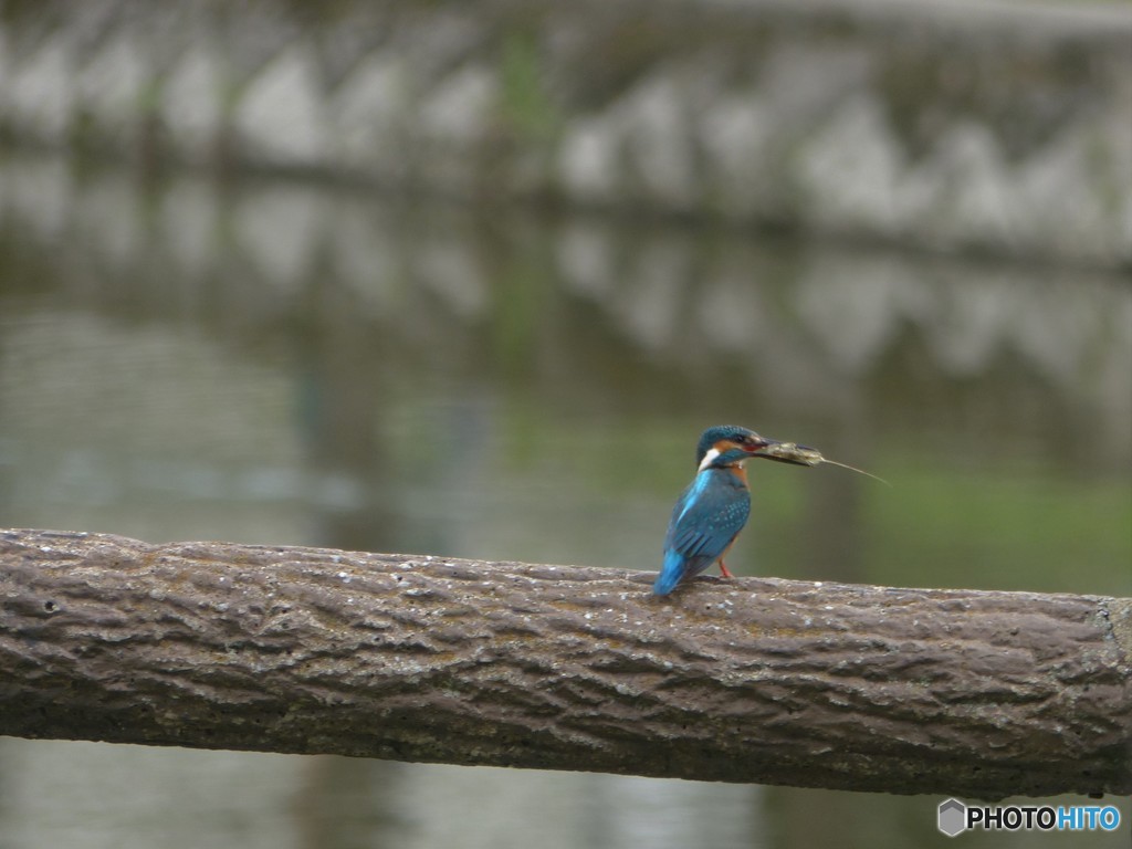 なんば食べたと