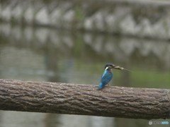 なんば食べたと