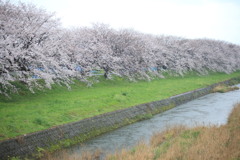 屋台もないし